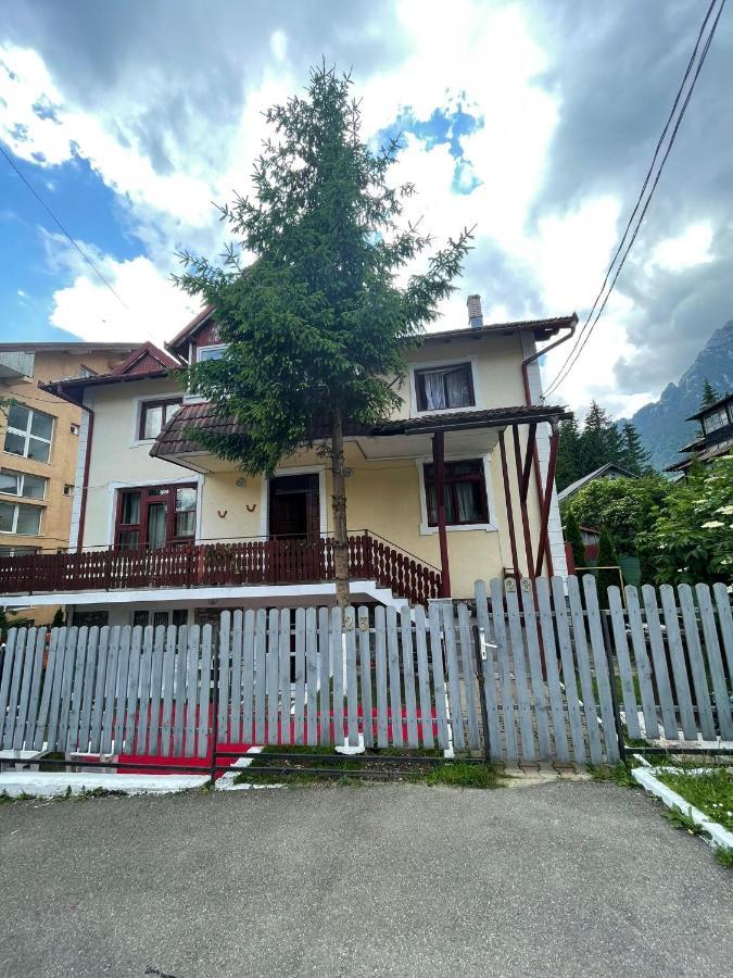 Constantinescu A. Hotel Buşteni Exterior foto